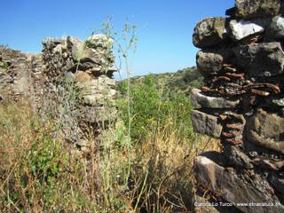 n Michele Forza Agro-31-08-2015 09-14-41